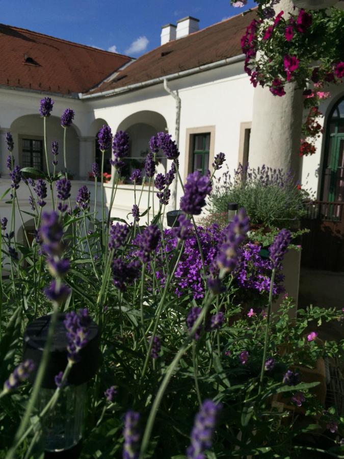 Forst-Haz Apartman Eger Bagian luar foto