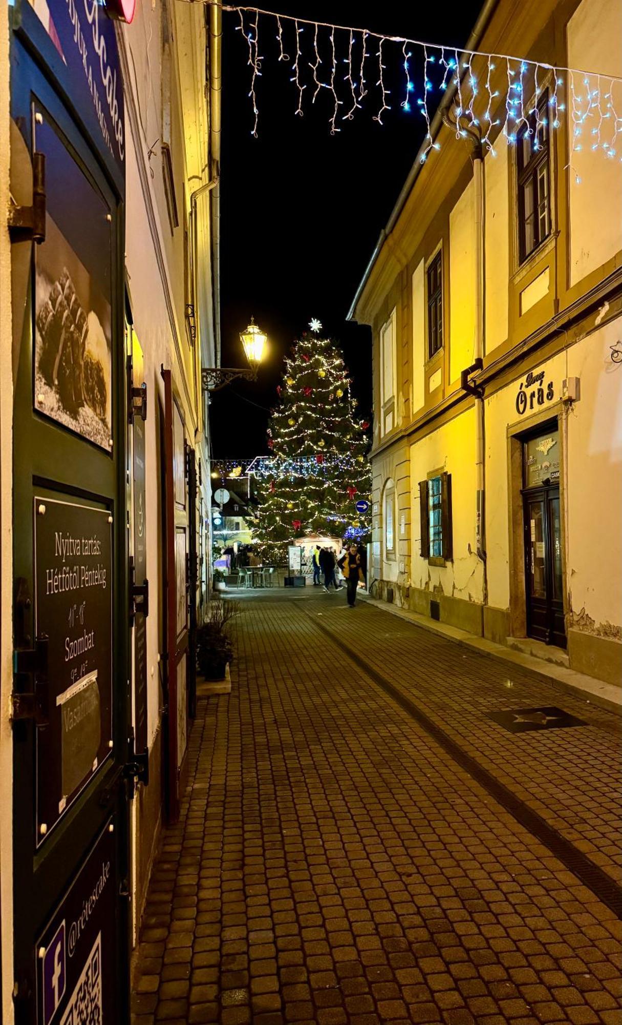 Forst-Haz Apartman Eger Bagian luar foto
